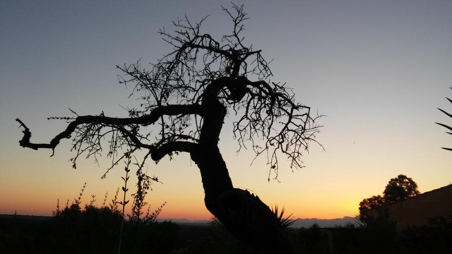 Die Magie der Stille